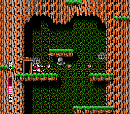 Blaster Master gameplay screenshot